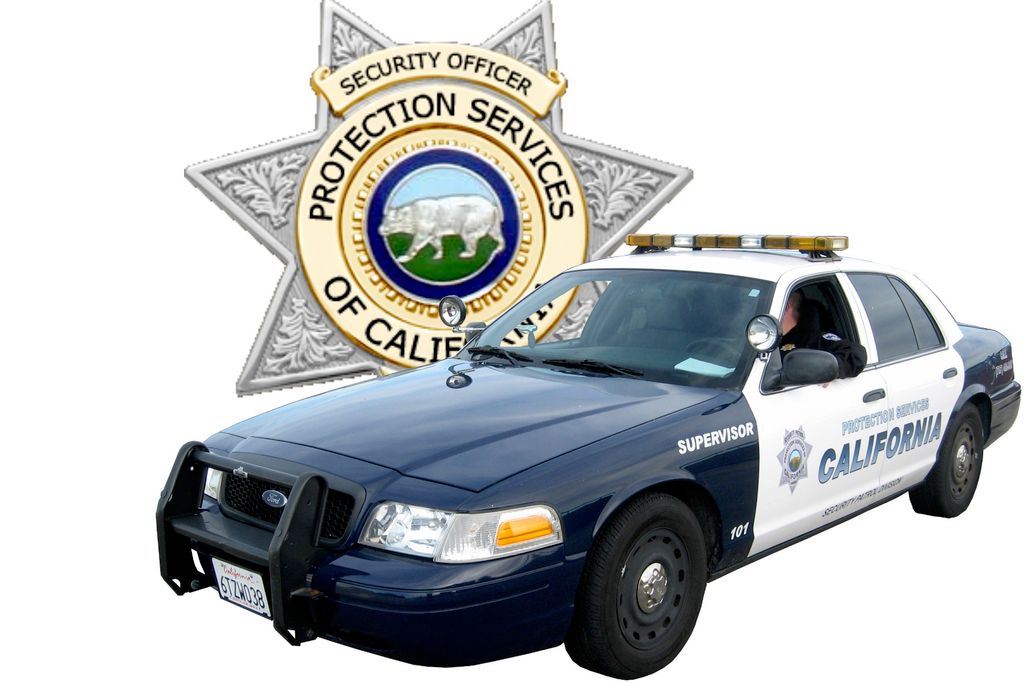 Protection Services of California