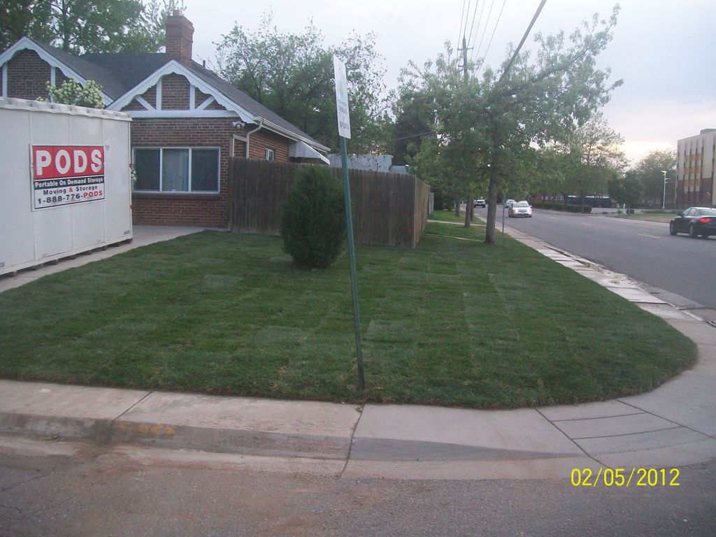 New Sod   Denver