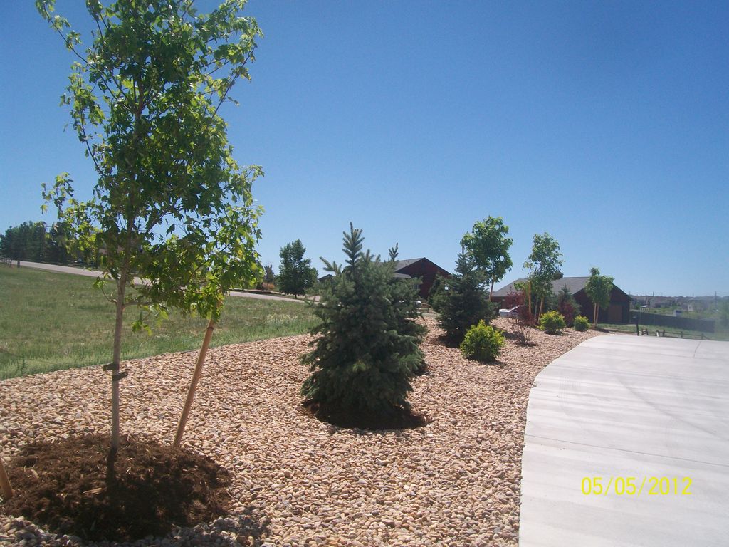 Rock along, Large Driveway
Shrubs and Trees