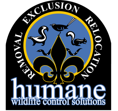 Avatar for Humane Wildlife Control Solutions