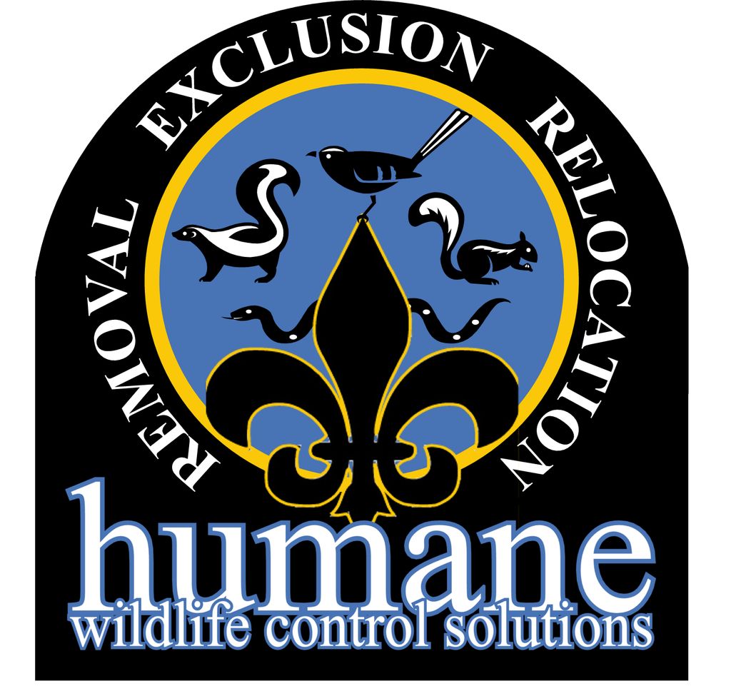 Humane Wildlife Control Solutions
