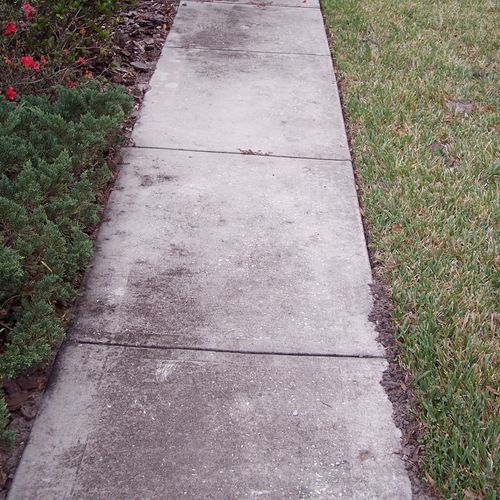 Sidewalk (before)