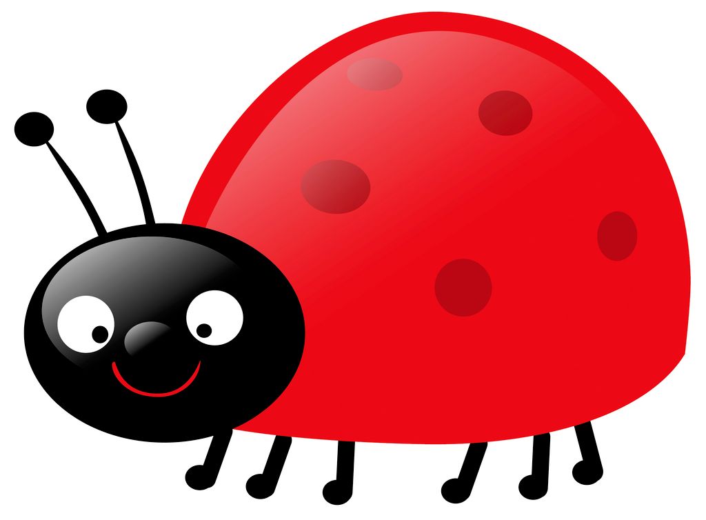 Ladybug Cleaning Service
