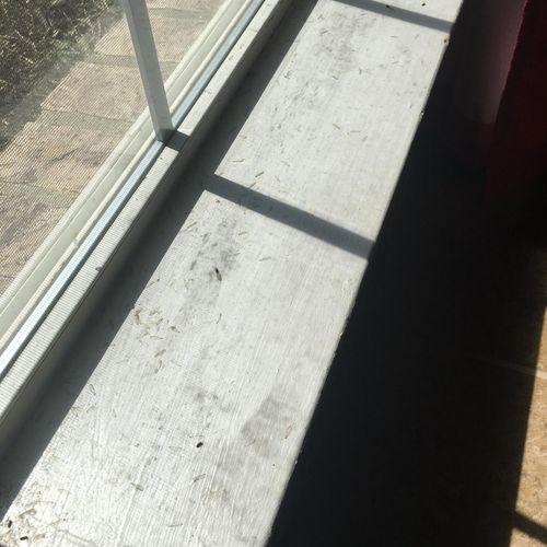 Termite activity on window sill