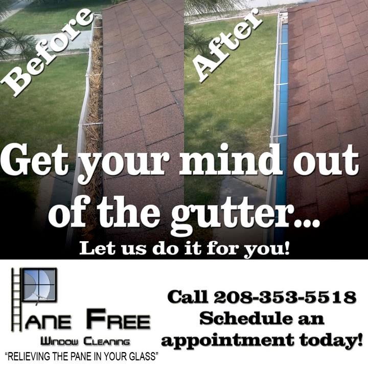 Pane Free Window Cleaning