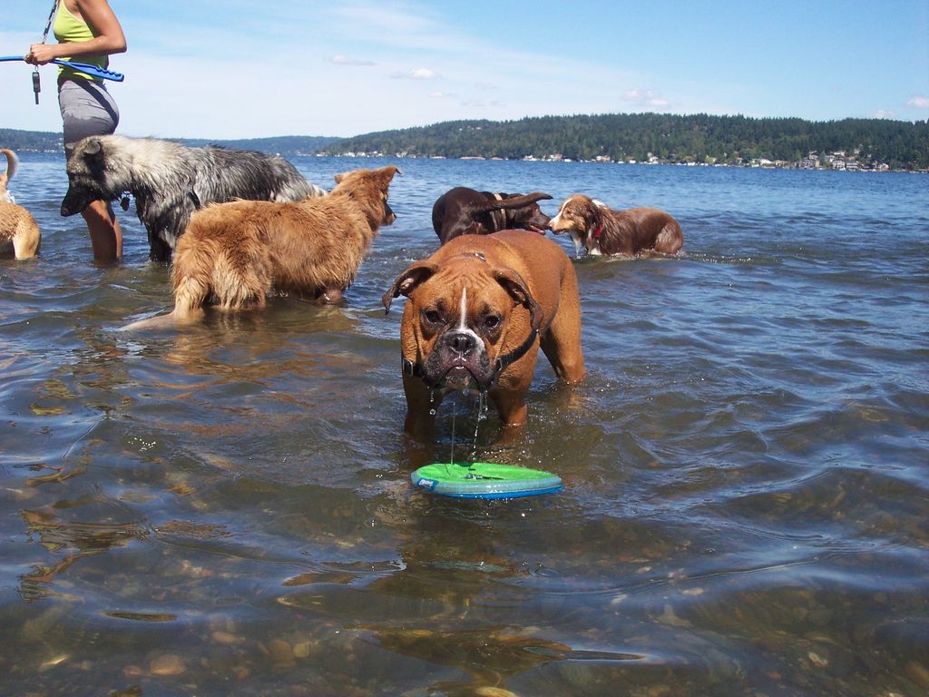 Fun @ Magnuson!