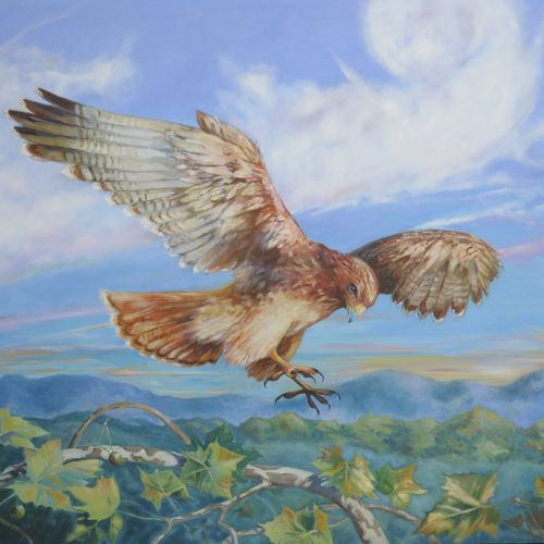 red tailed hawk large painting on canvas 6x5ft for