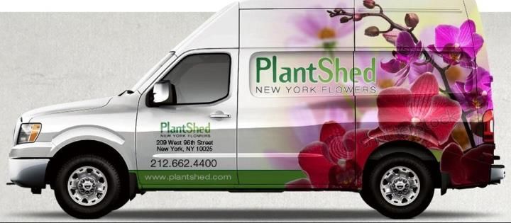 Plant Shed New York Flowers