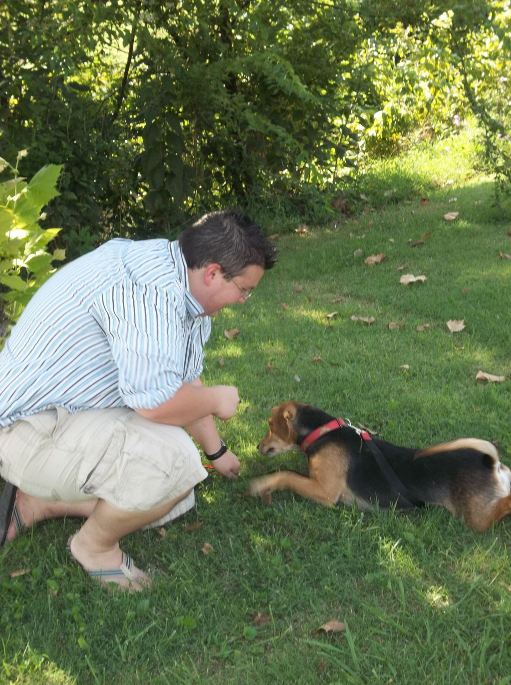 Luv UR Pet Sitters playing with Marlee.