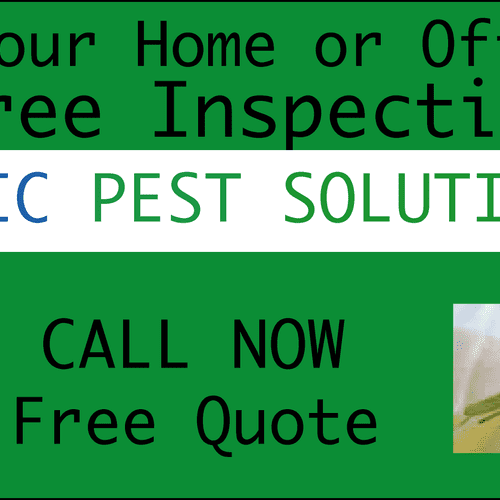 Best Atlanta Pest Control