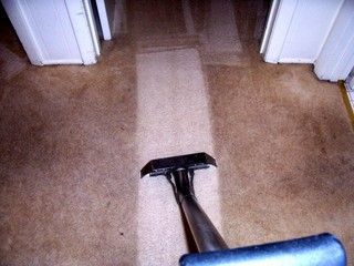 Clean Choice Carpet Care & Cleaning Services
