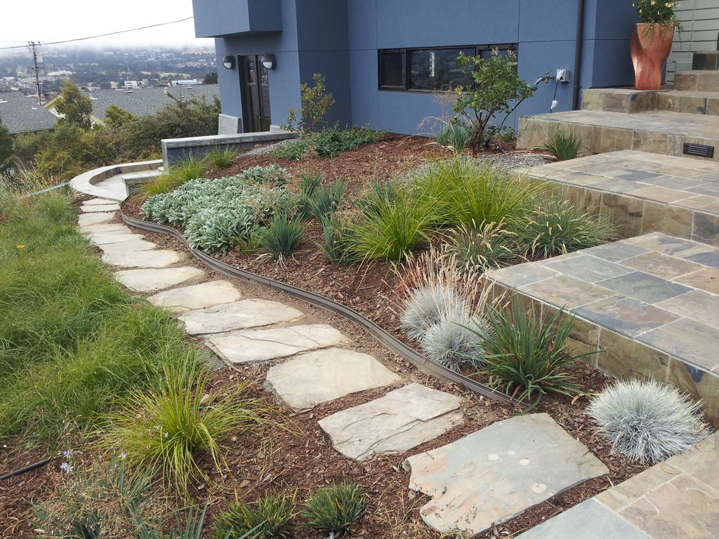 From concrete and astroturf to a new pathway with 