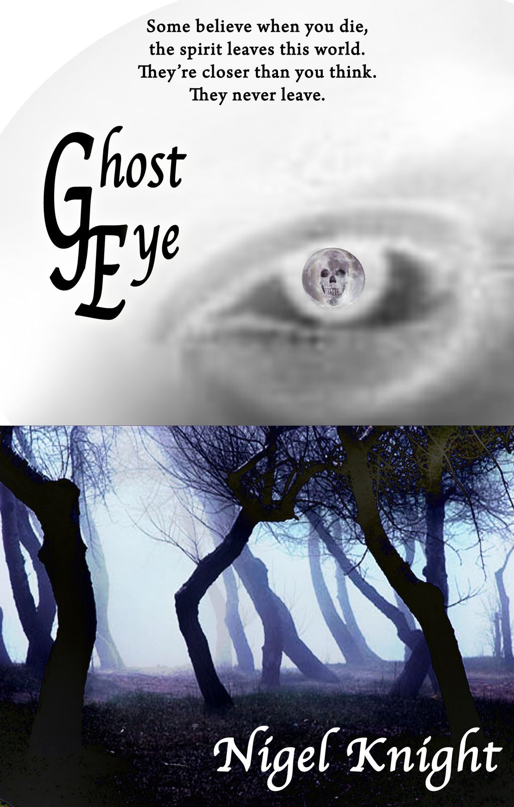 Example of Book Cover II
