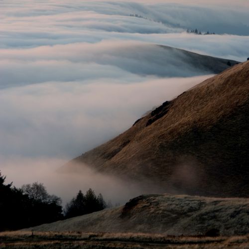 Fog over Bolinas Ridge, Marin County.