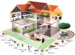 McDonald Pest Control will find your pest & elimin