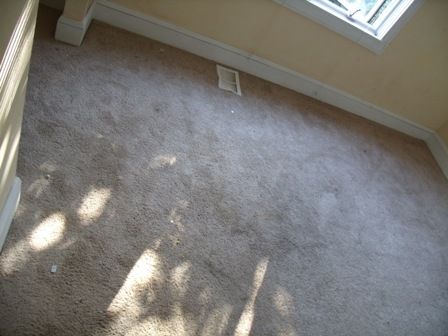 Carpet cleaning before