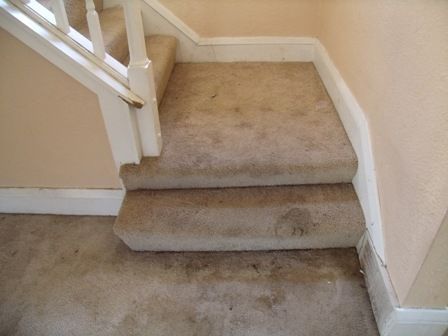 carpet cleaning before