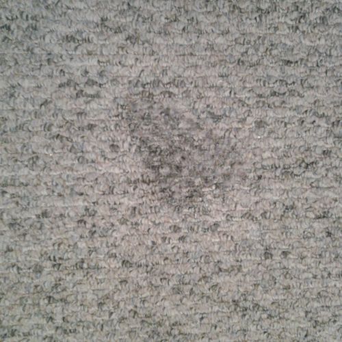 Before
 picture Iron burn on carpet