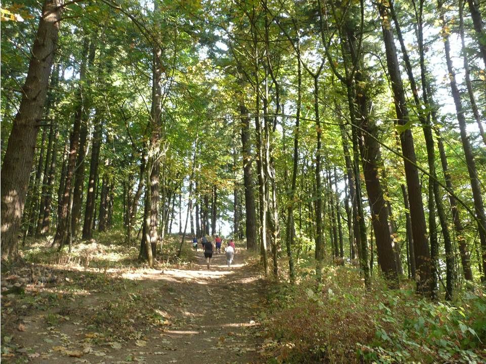 Sunday Mt Tabor ~ Primal Play