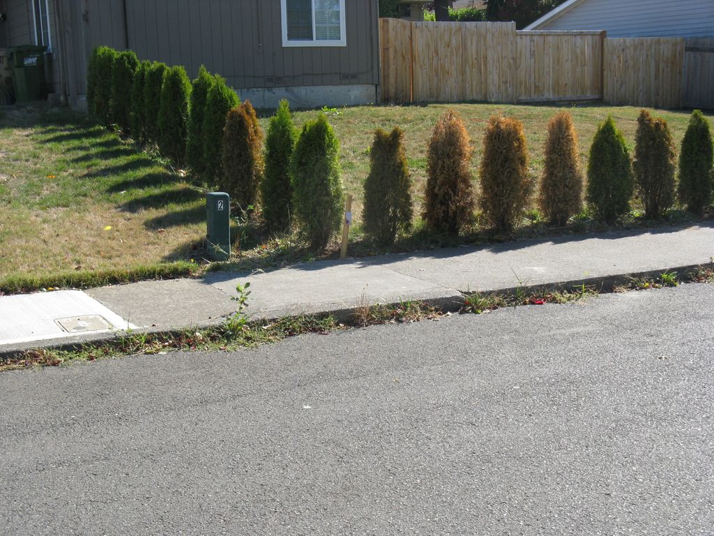 Thumbtack referral before clean up.