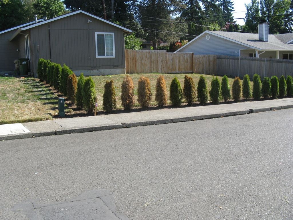 Thumbtack referral after the clean up.