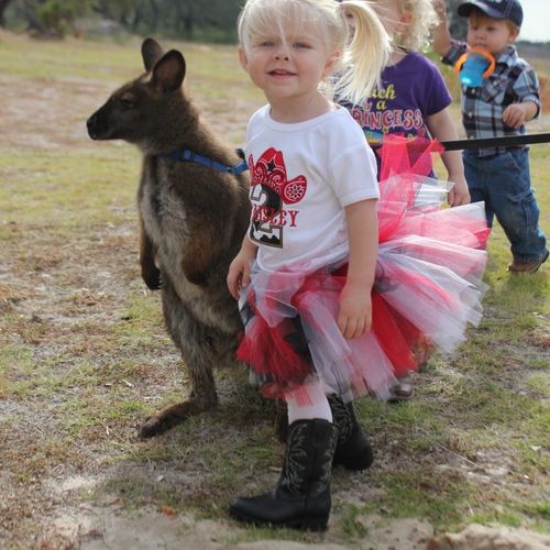 A young one says hello to "Taz" our wallaby.
