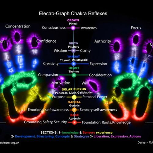 We have Many Chakras all over the body. Our hands 
