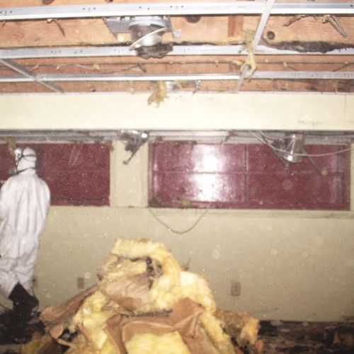 Mold and Water Damage.