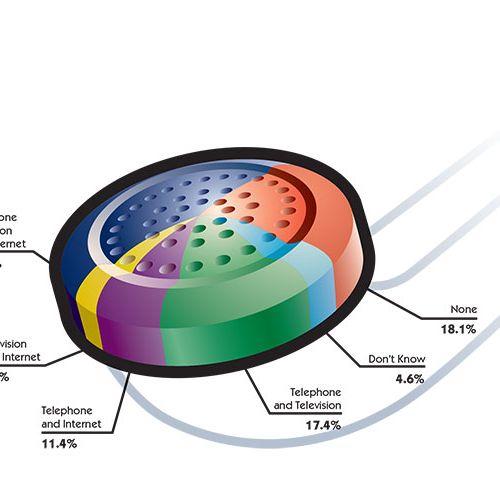 Infographic pie chart for telecommunications compa