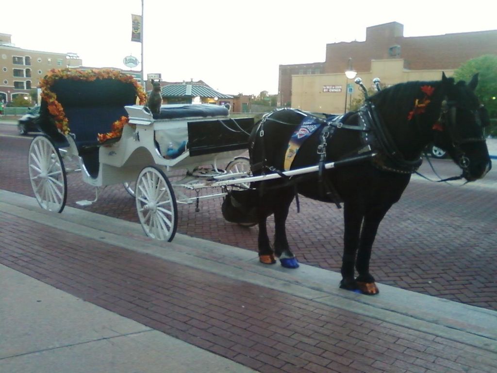 Thundered up in the Fall 2012