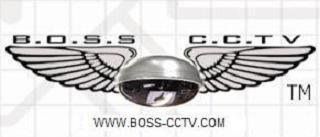 BOSS Best Of Security Systems