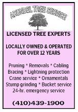 Arundel Tree Service
Maryland Licensed Tree Expert