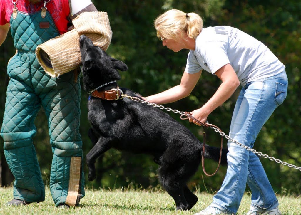 Nero vom Mystical Haus