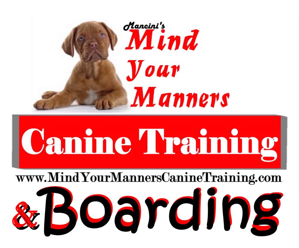 Mind Your Manners Canine Training & Boarding