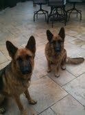 Happy boys