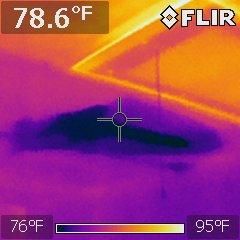 detected moisture from a leaking water heater in t