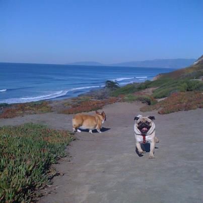 Our walks.