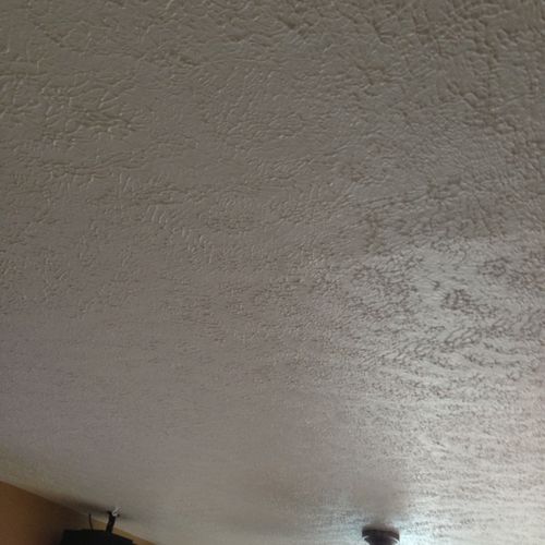 Custom hand stemple ceiling