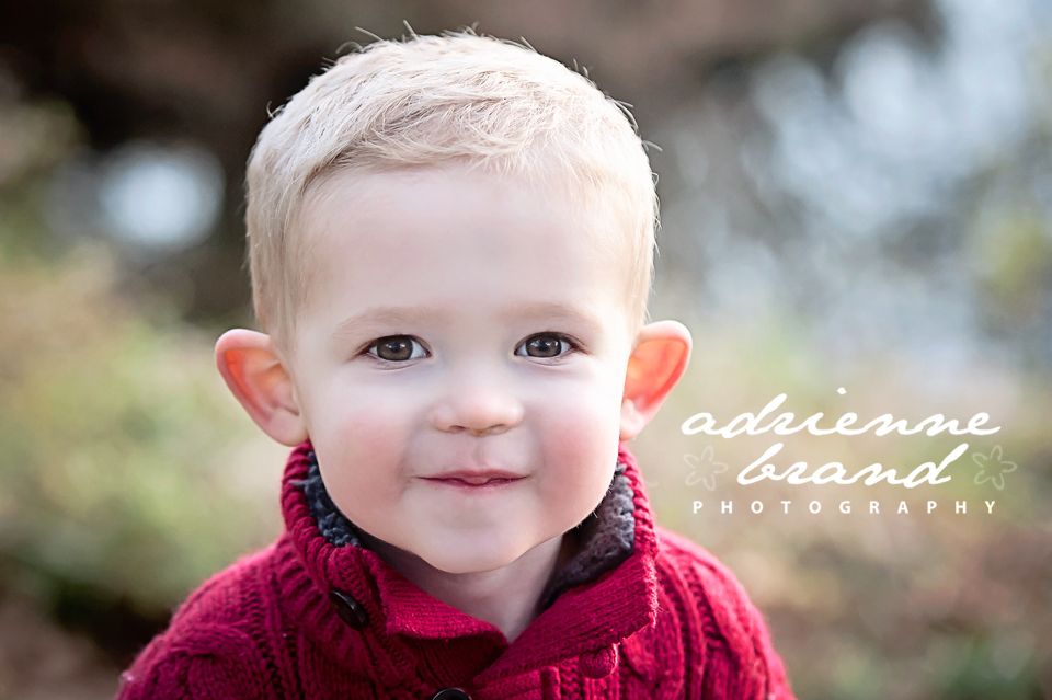 Fall photos can also be used for holiday greeting 