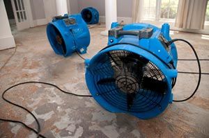 Flood Cleanup