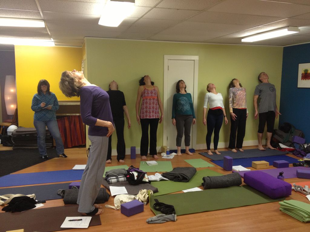Ellen Saltonstall leads Yoga Therapeutics workshop