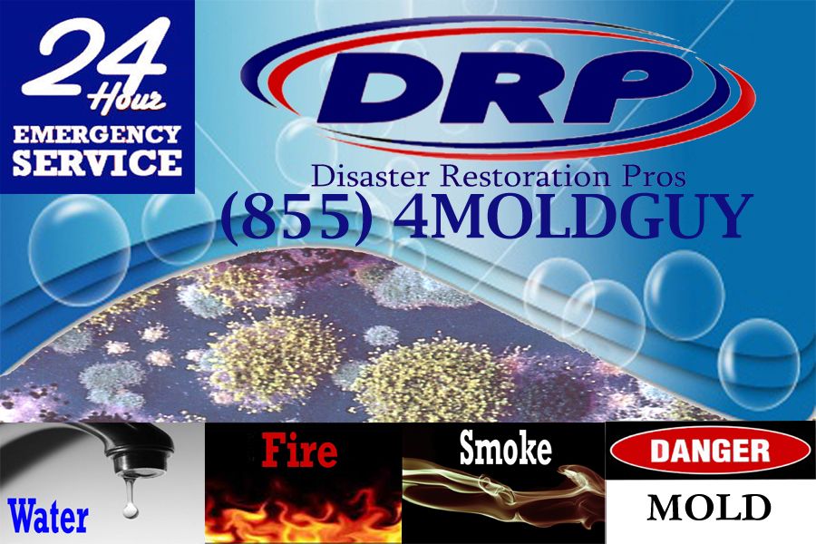 855 4MOLDGUY or 855-466-5348