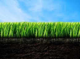 You grow it,we mow it!