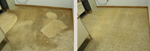 Before and After Carpet Cleaning Madison, WI