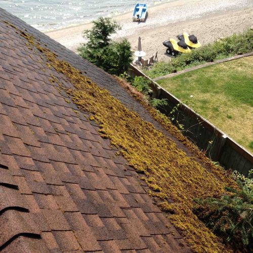 A composite roof in Port Townsend with a carpet of