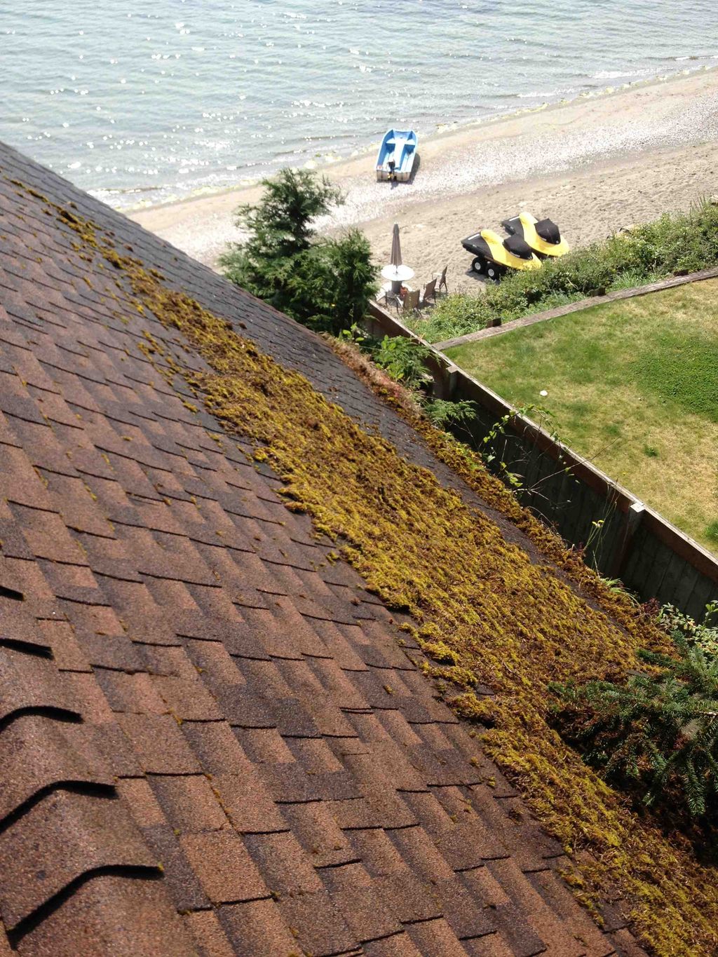 A composite roof in Port Townsend with a carpet of