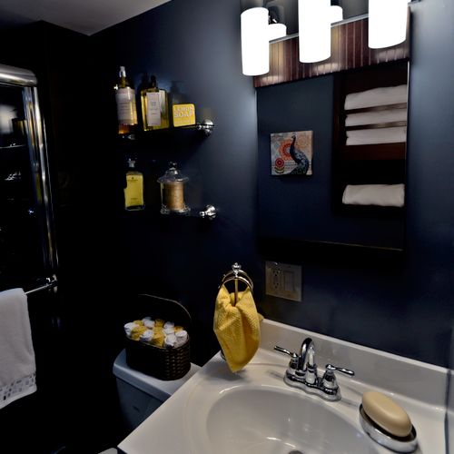 Guest Bathroom Gut and Renovation - Intimate and M