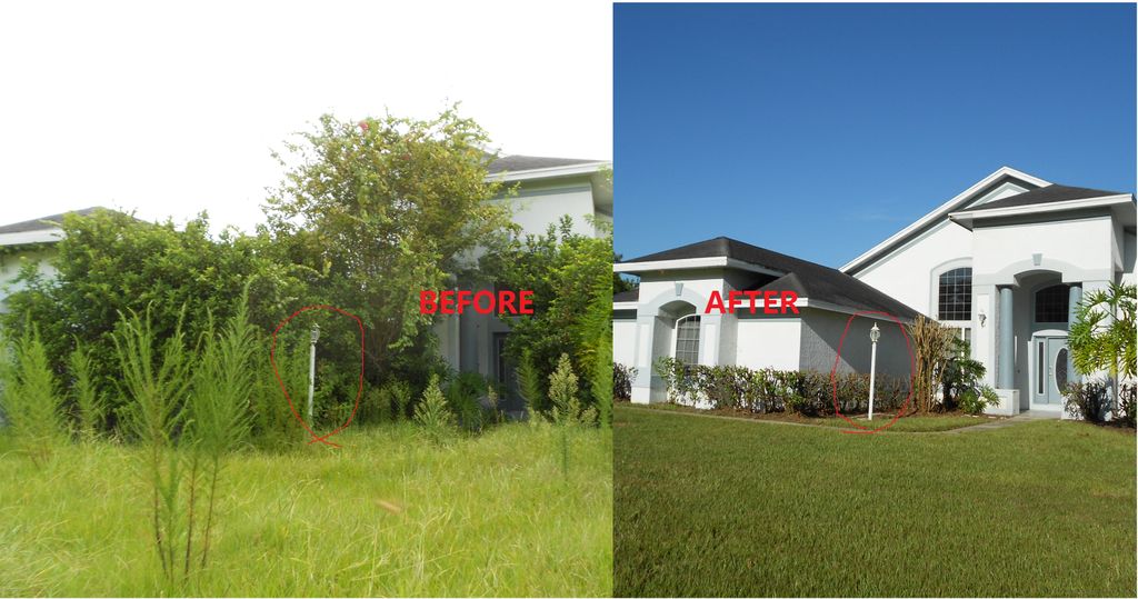 BEFORE AND AFTER CLEAN UP