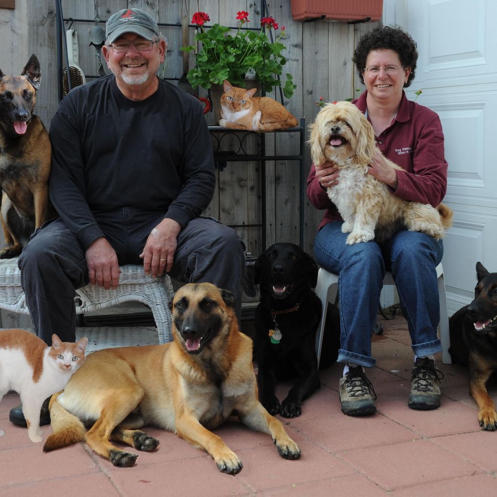 Two Bears Dog Training