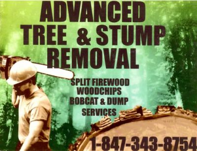 Advanced Tree & Stump Removal